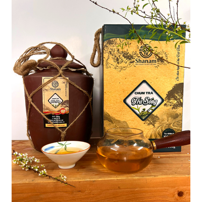 Trà xàng - Chum mix trà sống Yên Bái - Quà Tặng Shanam - Công Ty TNHH Trà Và Đặc Sản Tây Bắc (TAFOOD)