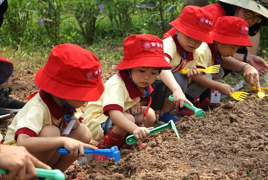 Mũ Nón Trẻ Em - Mũ Nón Wavu - Công Ty TNHH Wavu