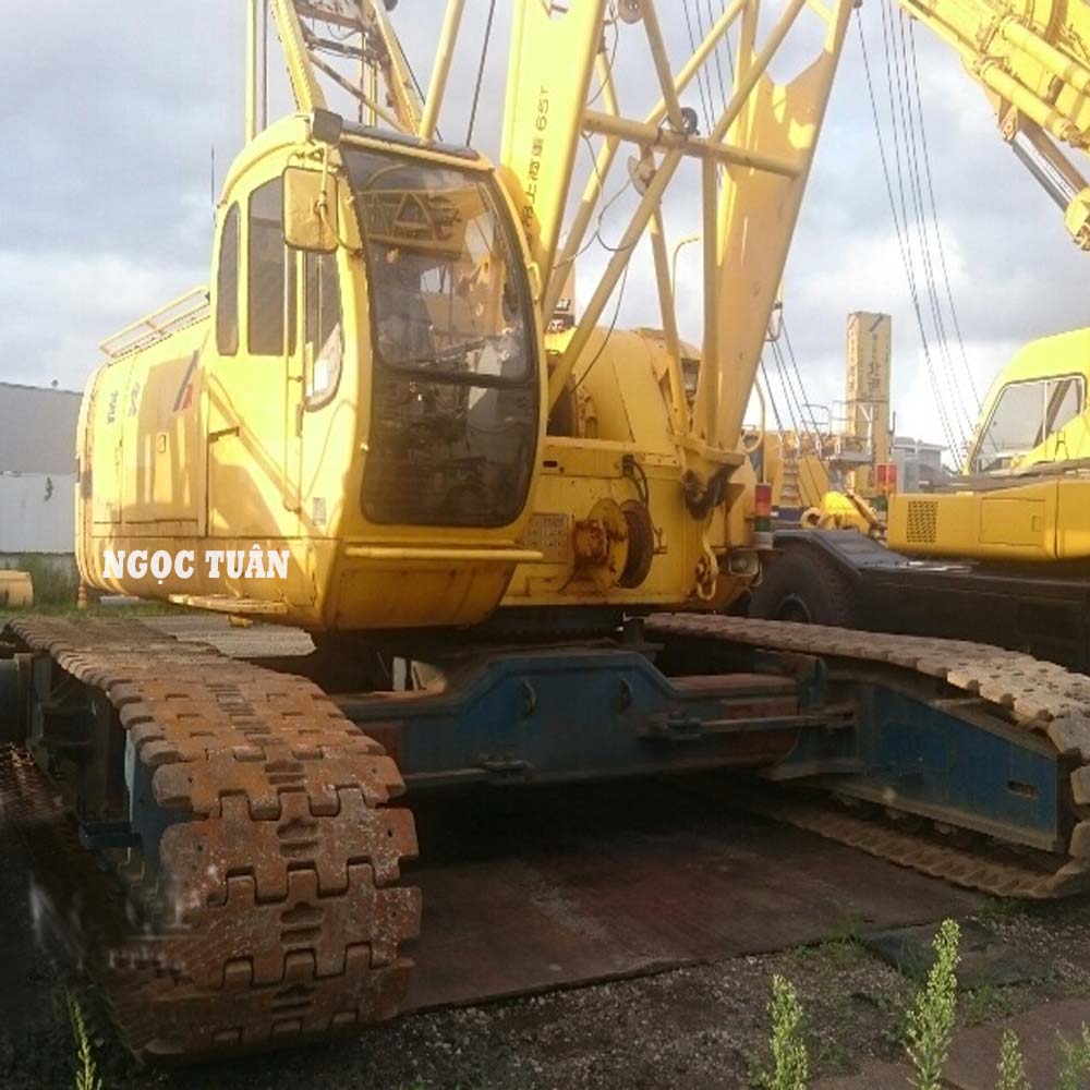 Cẩu bánh xích 65T