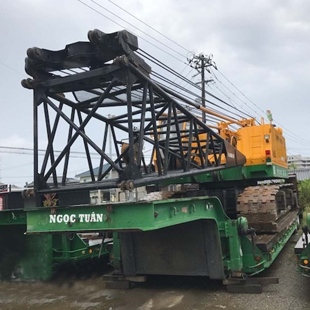 Cẩu bánh xích Crane