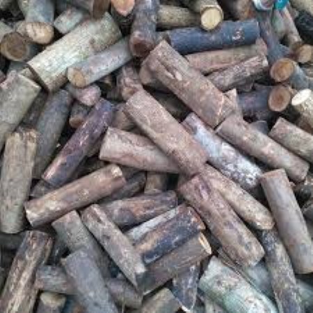 Củi gỗ cắt khúc - Công Ty TNHH Chất Đốt Xanh An Phú