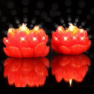 Nến hoa cúc