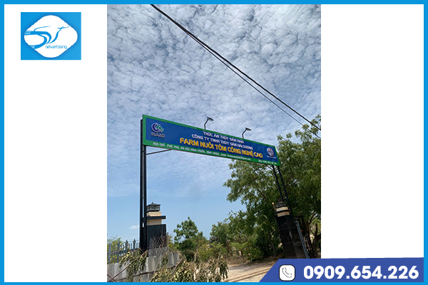 Dự án đã thực hiện