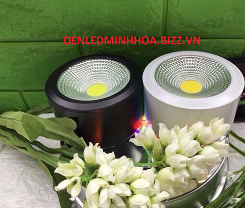Đèn ống bơ