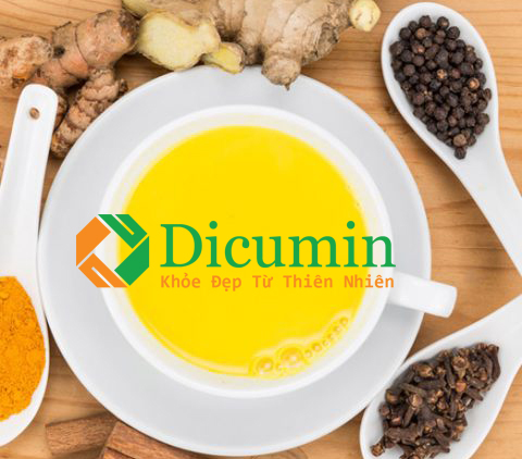 Tinh bột nghệ Dicumin - Tinh Bột Nghệ Ducumin - Công Ty TNHH Cazavan