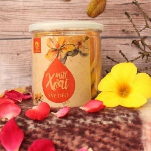 Hộp mứt xoài xấy dẻo - Hạt Dinh Dưỡng Hải Long - Công Ty TNHH SX - TM - DV Hải Long