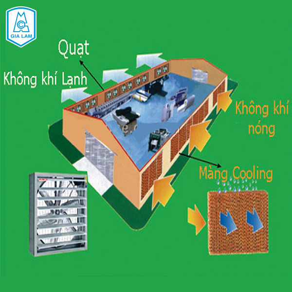 Tư vấn thiết kế, lắp đặt hệ thống làm mát xưởng may