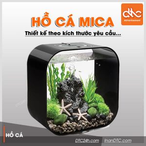Bể cá mica - Công Ty TNHH Thương Mại – Dịch Vụ – Quảng Cáo D.T.C