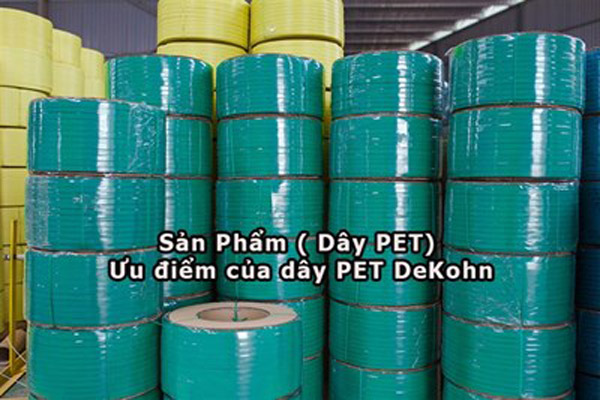 Dây đai nhựa PET