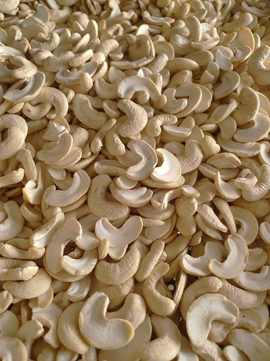 Hạt điều trắng tách nửa - Nông Sản Gia Vị Imtex - Công Ty Cổ Phần Xuất Nhập Khẩu Imtex Việt Nam