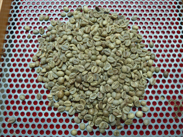 Hạt cà phê Robusta - Nông Sản Gia Vị Imtex - Công Ty Cổ Phần Xuất Nhập Khẩu Imtex Việt Nam