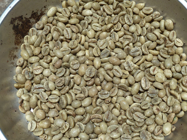 Hạt cà phê Robusta - Nông Sản Gia Vị Imtex - Công Ty Cổ Phần Xuất Nhập Khẩu Imtex Việt Nam