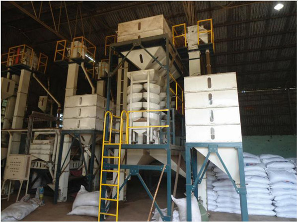 Hình ảnh nhà máy Imtex - Nông Sản Gia Vị Imtex - Công Ty Cổ Phần Xuất Nhập Khẩu Imtex Việt Nam