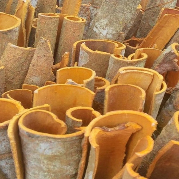 Quế chẻ thanh - Nông Sản Gia Vị Imtex - Công Ty Cổ Phần Xuất Nhập Khẩu Imtex Việt Nam