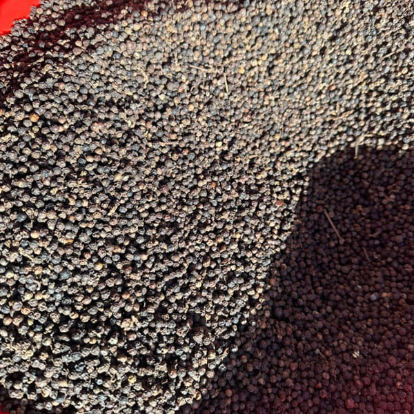 Tiêu đen 500 G/L - Nông Sản Gia Vị Imtex - Công Ty Cổ Phần Xuất Nhập Khẩu Imtex Việt Nam