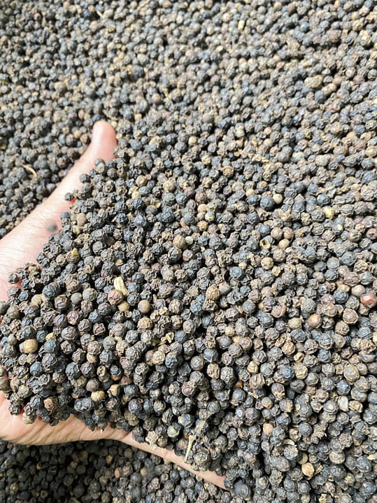 Tiêu đen 550 G/L FAQ - Nông Sản Gia Vị Imtex - Công Ty Cổ Phần Xuất Nhập Khẩu Imtex Việt Nam