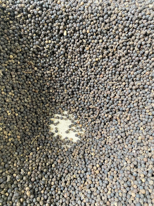 Tiêu đen 550 G/L FAQ - Nông Sản Gia Vị Imtex - Công Ty Cổ Phần Xuất Nhập Khẩu Imtex Việt Nam