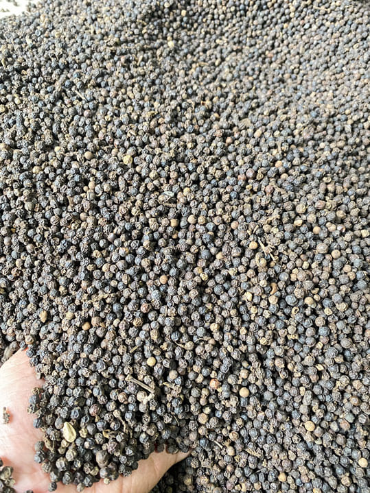 Tiêu đen 550 G/L FAQ - Nông Sản Gia Vị Imtex - Công Ty Cổ Phần Xuất Nhập Khẩu Imtex Việt Nam