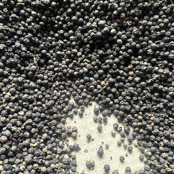 Tiêu đen 500 G/L FAQ - Nông Sản Gia Vị Imtex - Công Ty Cổ Phần Xuất Nhập Khẩu Imtex Việt Nam