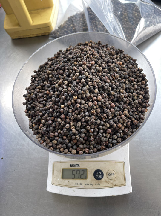 Tiêu đen loại 5mm - Nông Sản Gia Vị Imtex - Công Ty Cổ Phần Xuất Nhập Khẩu Imtex Việt Nam