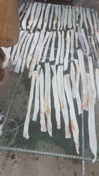 Da cá hồi - Cơ Sở Sản Xuất Da Cá Tra Nguyễn Văn Mạnh