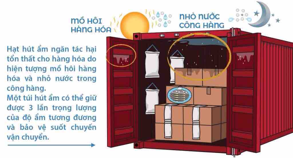 Chống ẩm - Túi Chống ẩm Tiến Đạt Hưng Thịnh - Công Ty TNHH Tiến Đạt Hưng Thịnh