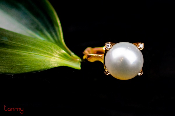 Phụ kiện thời trang - Công Ty TNHH Thiết Kế Thời Trang Tân Mỹ