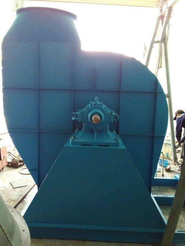 Hình ảnh thi công thực tế