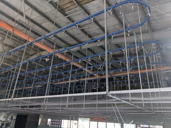 Hình ảnh thi công thực tế