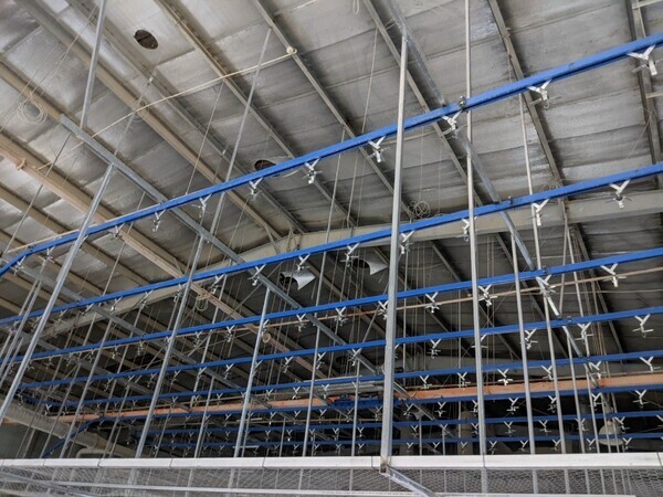 Hình ảnh thi công thực tế