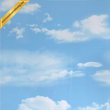 Trần mây trời - Công Ty TNHH Vinluxking