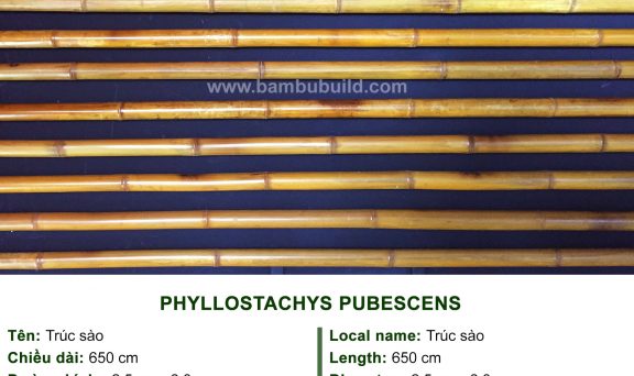 Sản phẩm cây tre