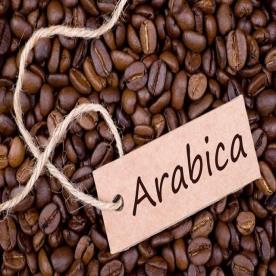 Arabica