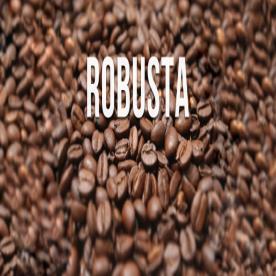 Robusta