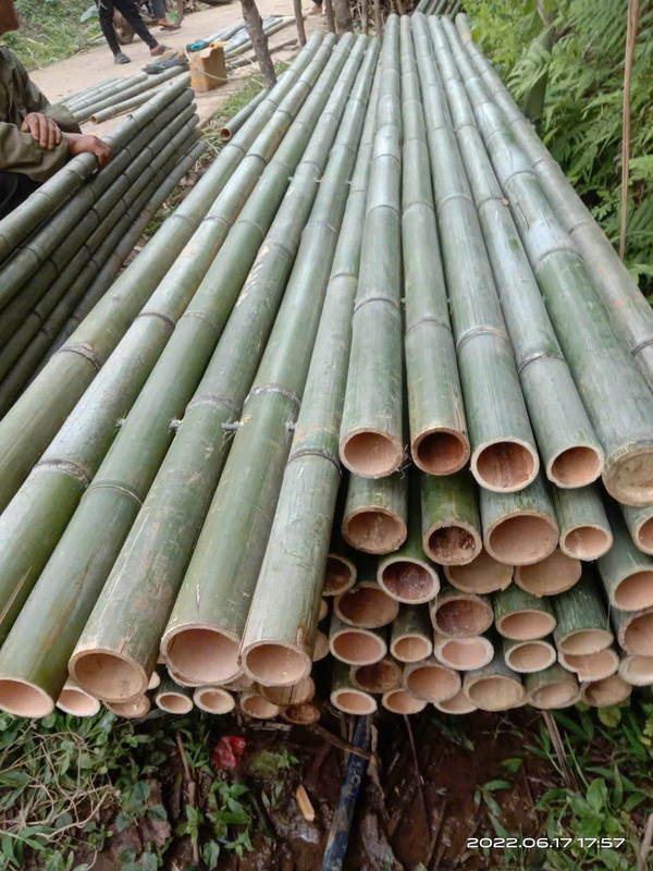 Sạp tre trúc, bè trúc giàn dáo công trình - Cọc Tre Lộc Phát - Công Ty TNHH Thương Mại Và Dịch Vụ Forbigsu Việt Nam