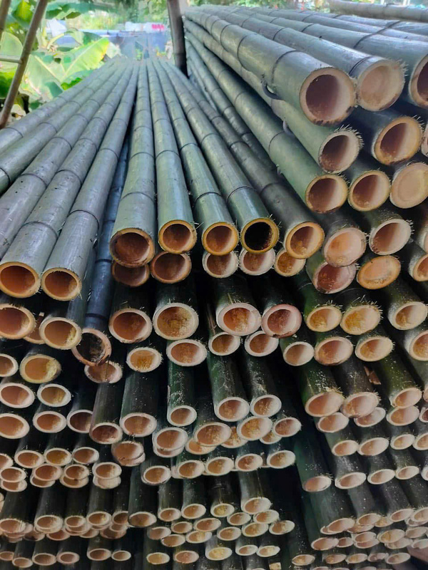 Sạp tre trúc, bè trúc giàn dáo công trình - Cọc Tre Lộc Phát - Công Ty TNHH Thương Mại Và Dịch Vụ Forbigsu Việt Nam