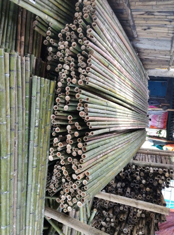 Sạp tre trúc, bè trúc giàn dáo công trình - Cọc Tre Lộc Phát - Công Ty TNHH Thương Mại Và Dịch Vụ Forbigsu Việt Nam