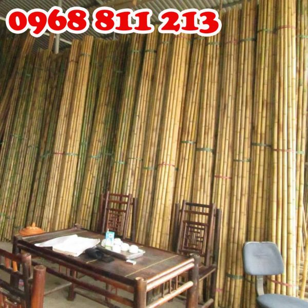 Cọc Tre Forbigsu – Công Ty TNHH Thương Mại Và Dịch Vụ Forbigsu Việt Nam