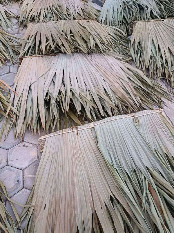 Lá cọ lợp mái - Cọc Tre Lộc Phát - Công Ty TNHH Thương Mại Và Dịch Vụ Forbigsu Việt Nam
