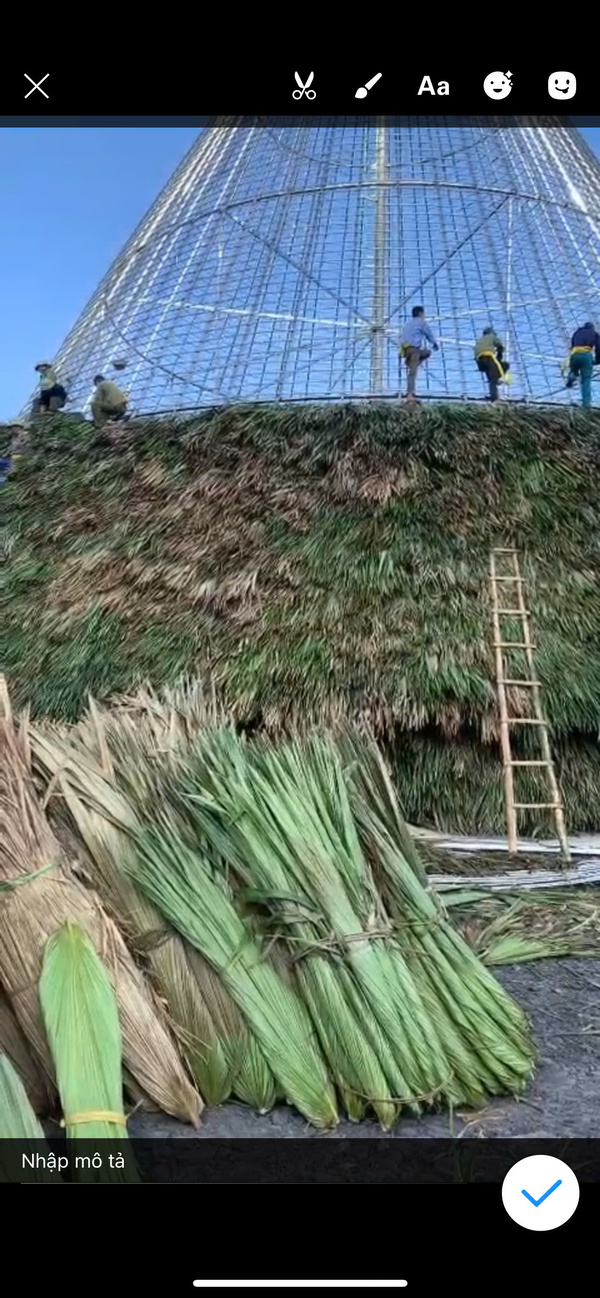 Lá cọ lợp mái - Cọc Tre Lộc Phát - Công Ty TNHH Thương Mại Và Dịch Vụ Forbigsu Việt Nam
