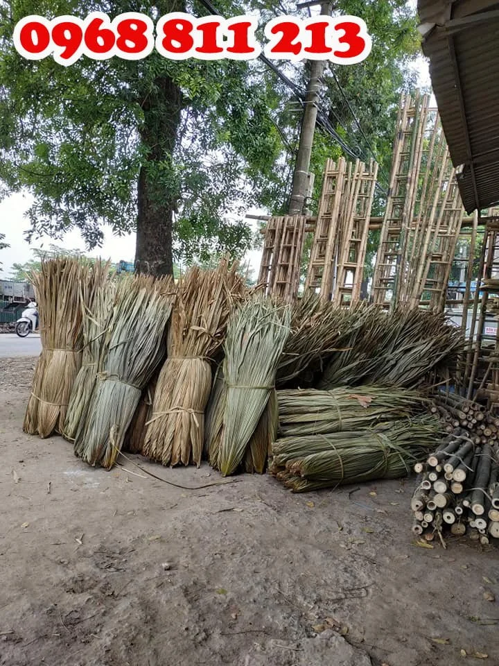 Lá cọ nguyên tàu - Cọc Tre Forbigsu - Công Ty TNHH Thương Mại Và Dịch Vụ Forbigsu Việt Nam