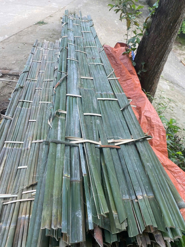 Phên nứa - Cọc Tre Lộc Phát - Công Ty TNHH Thương Mại Và Dịch Vụ Forbigsu Việt Nam