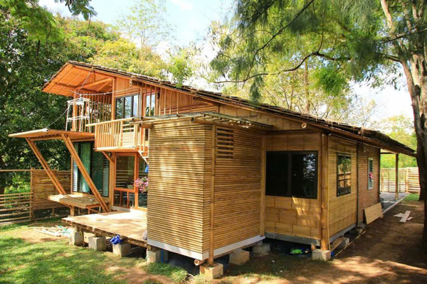 Trúc khô sơ chế đã qua xử lý mối mọt - Cọc Tre Lộc Phát - Công Ty TNHH Thương Mại Và Dịch Vụ Forbigsu Việt Nam