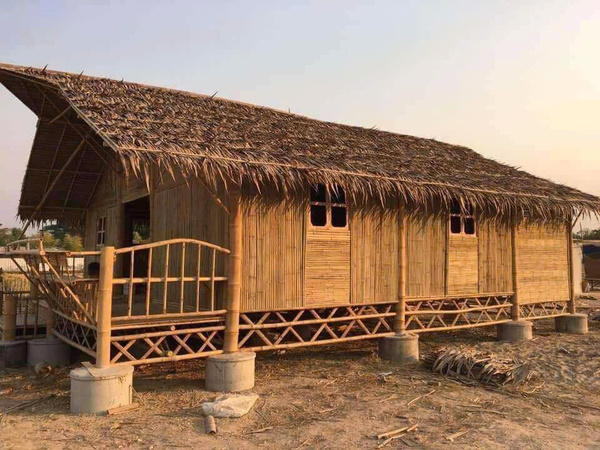 Trúc khô sơ chế đã qua xử lý mối mọt - Cọc Tre Lộc Phát - Công Ty TNHH Thương Mại Và Dịch Vụ Forbigsu Việt Nam