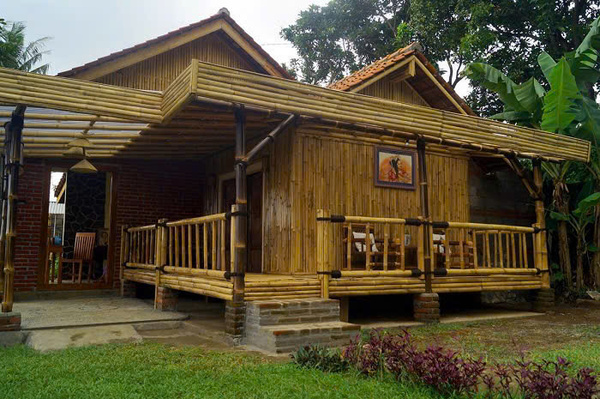 Trúc khô sơ chế đã qua xử lý mối mọt - Cọc Tre Lộc Phát - Công Ty TNHH Thương Mại Và Dịch Vụ Forbigsu Việt Nam