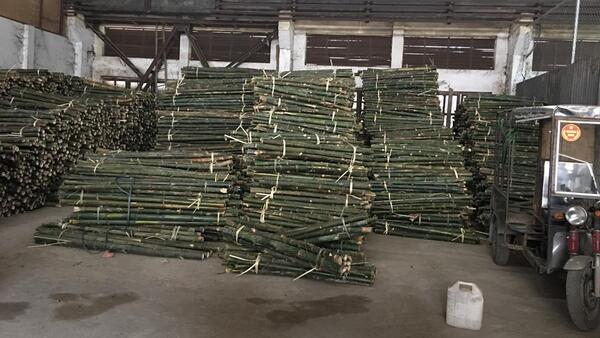 Cọc loại 2 - Cọc Tre, Cọc Bê Tông Hà Nội  - Công Ty TNHH Cọc Tre Và Cọc Bê Tông Hùng Mai