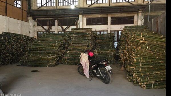 Cọc loại 2 - Cọc Tre, Cọc Bê Tông Hà Nội  - Công Ty TNHH Cọc Tre Và Cọc Bê Tông Hùng Mai