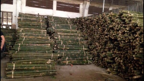 Cọc loại 2 - Cọc Tre, Cọc Bê Tông Hà Nội  - Công Ty TNHH Cọc Tre Và Cọc Bê Tông Hùng Mai