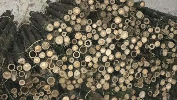 Cọc loại 2 - Cọc Tre, Cọc Bê Tông Hà Nội  - Công Ty TNHH Cọc Tre Và Cọc Bê Tông Hùng Mai