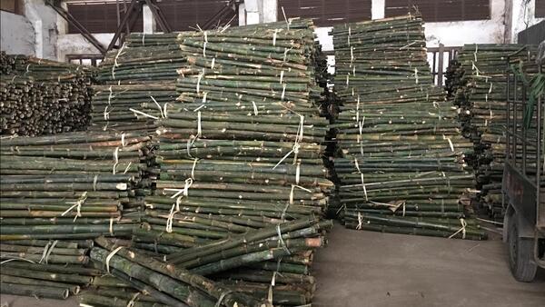 Cọc loại 2 - Cọc Tre, Cọc Bê Tông Hà Nội  - Công Ty TNHH Cọc Tre Và Cọc Bê Tông Hùng Mai